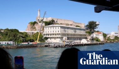 Coyote swam 2 miles to Alcatraz Island, going farther than scientists expected | San Francisco