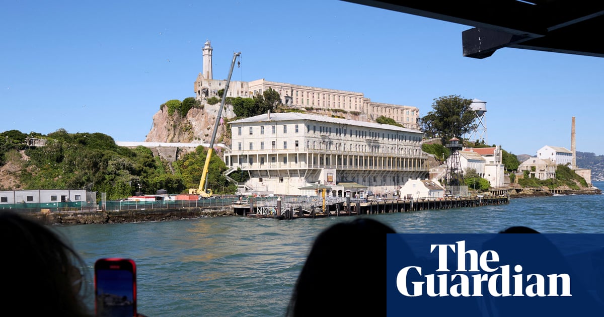 Coyote swam 2 miles to Alcatraz Island, going farther than scientists expected | San Francisco