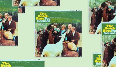 An illustration showing multiple copies of The Beach Boys album "Pet Sounds"