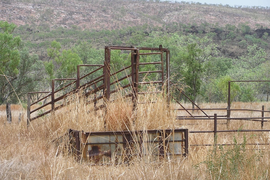 Long grass and rusty stock yards with a red rock range in distance