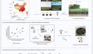 Agricultural soil microbiomes are structurally and functionally more resistant to warming than adjacent natural ecosystems