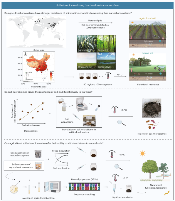 Agricultural soil microbiomes are structurally and functionally more resistant to warming than adjacent natural ecosystems