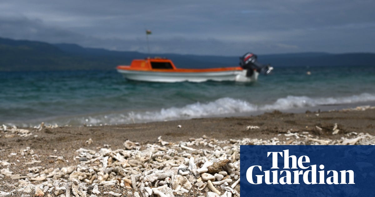 UN’s climate crisis vote shows political momentum is growing, say experts | Climate crisis