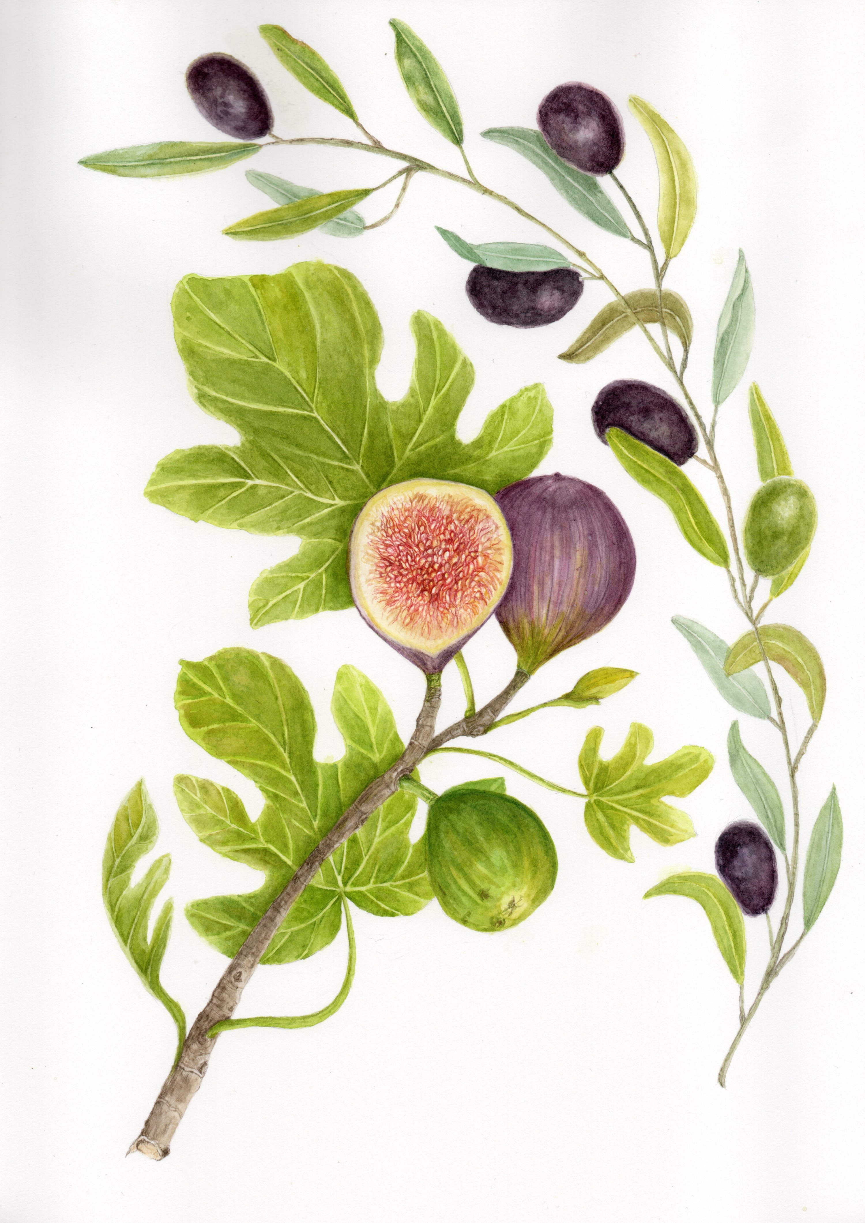 An artwork by Sümeyra Demir. (Photo courtesy of Sümeyra Demir)