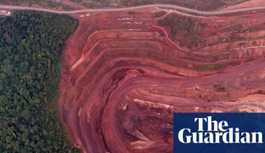 Rainforests pushed to breaking point by new demands for resources, report says | Deforestation