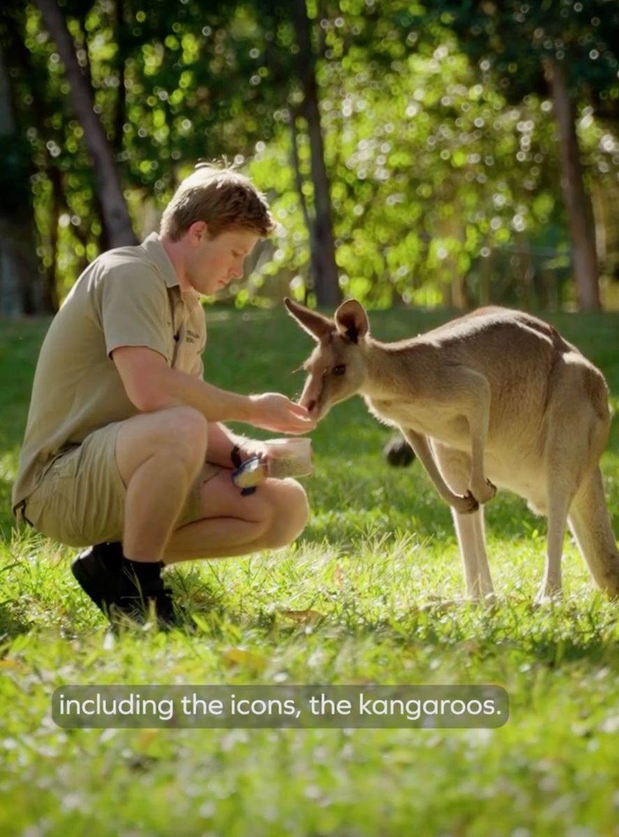 Irwin revealed in a social media video that the Wales siblings had been invited to name a newborn eastern grey kangaroo joey at the Australia Zoo.