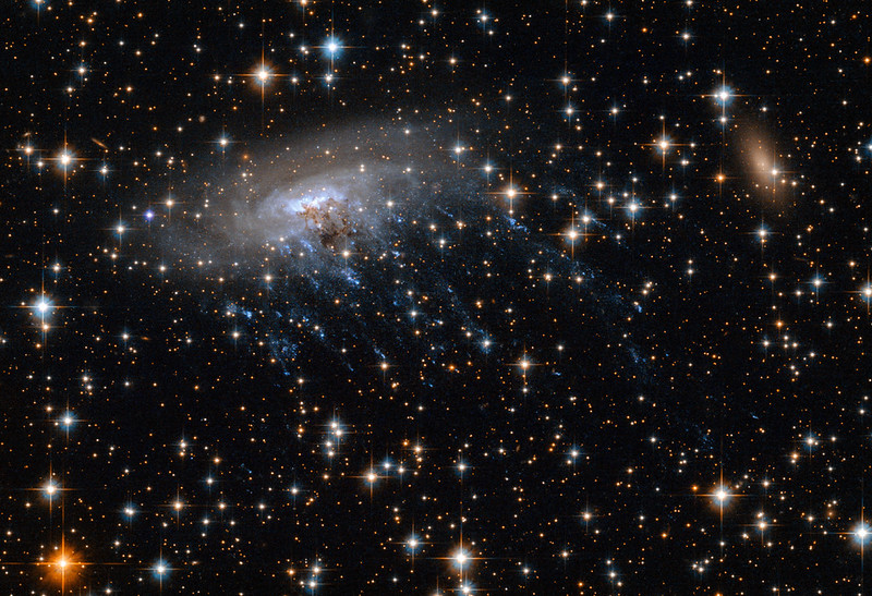 Characterizing galaxies at "cosmic noon" – Sciworthy