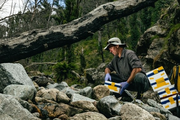 Dr David Hunter in the field working on rewilding animals.