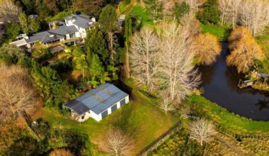 Auckland mansion with private lake now on sale in mortgagee auction had ties to bankrupt developer
