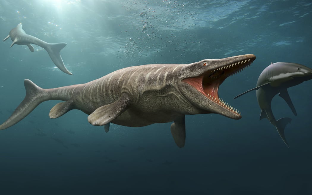Tylosaurus hunting a shark. (Photo by Mohamad Haghani / StockTrek Images via AFP)