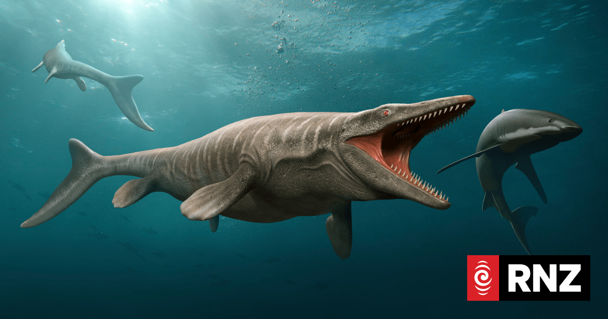Massive marine predator crowned T rex of the ocean and 'a true terror of its time'