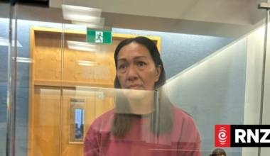 Trusted accounts worker Melanie Kingi jailed for stealing $823k from charity organisation
