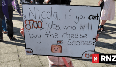 Hundreds gather in Wellington for PSA protest against proposed public service cuts