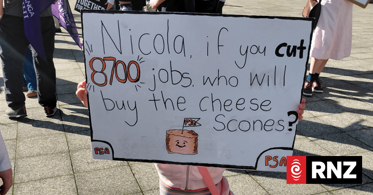 Hundreds gather in Wellington for PSA protest against proposed public service cuts