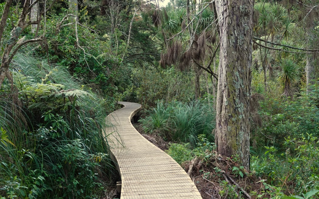 A new boardwalk in Belfast Reserve.