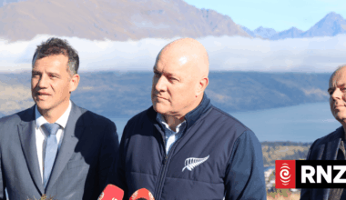 Government doubles funding for wilding pine control efforts under a Budget 2026 boost