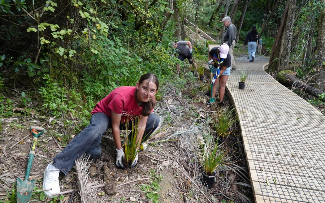 Fourteen-year-old Maddy Drummond gets to work replanting a bank along the rebuilt track.