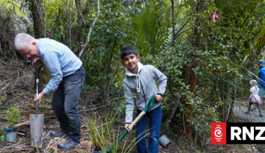 'Incredibly special' bush reserve finally reopens in Auckland