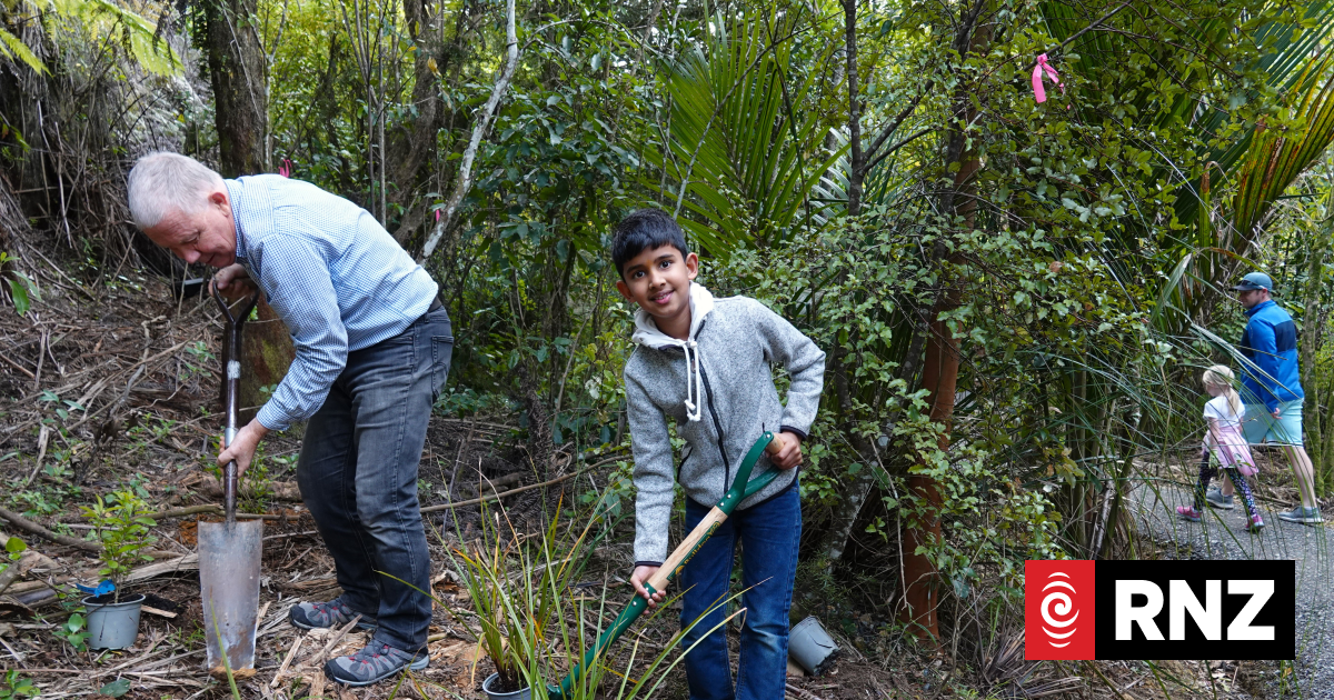 'Incredibly special' bush reserve finally reopens in Auckland