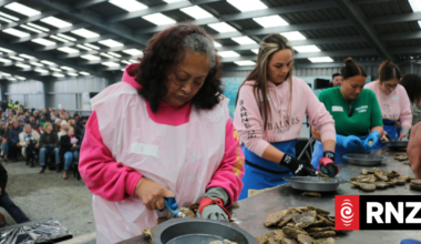 Country Life: Rough Bluff oyster season impacts industry and festival
