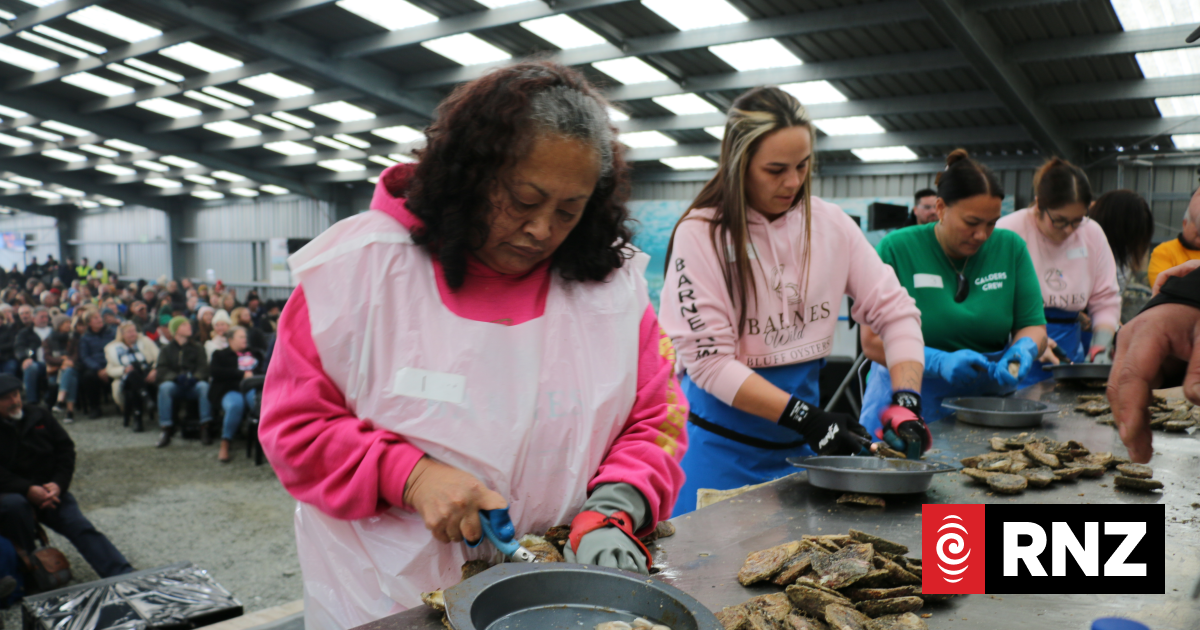 Country Life: Rough Bluff oyster season impacts industry and festival
