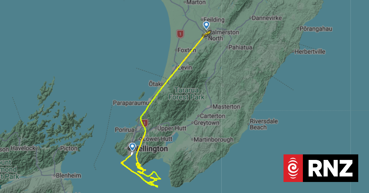 Search operation underway for yachtie near Baring Head, Wellington