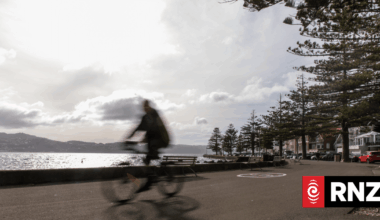Locals want speed limit on Oriental Parade shared pathways