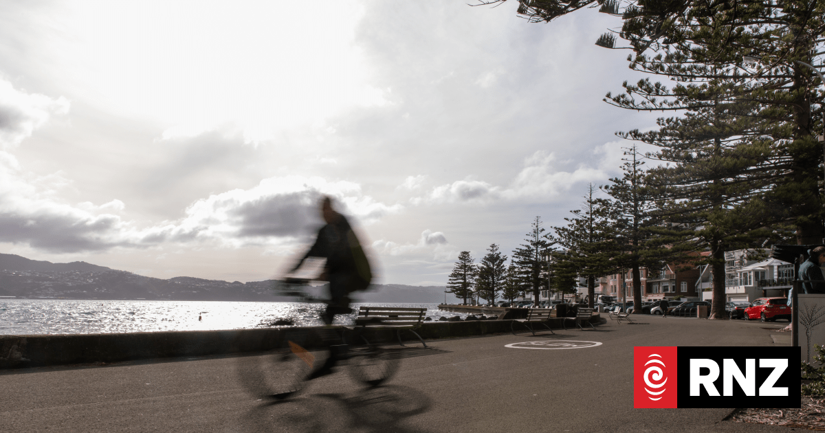 Locals want speed limit on Oriental Parade shared pathways