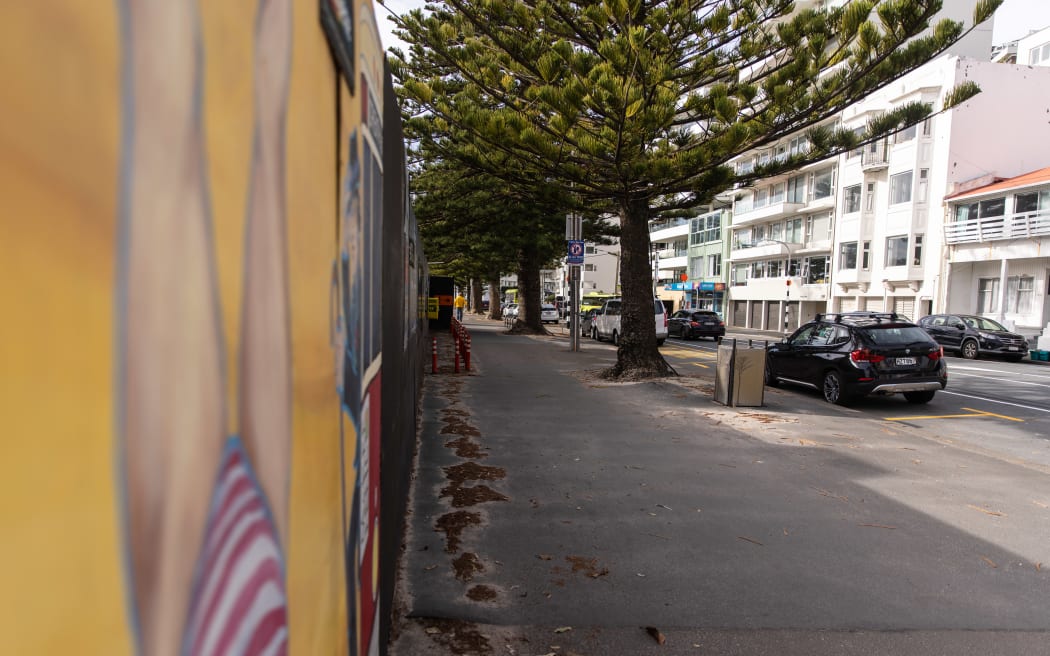 Oriental Bay