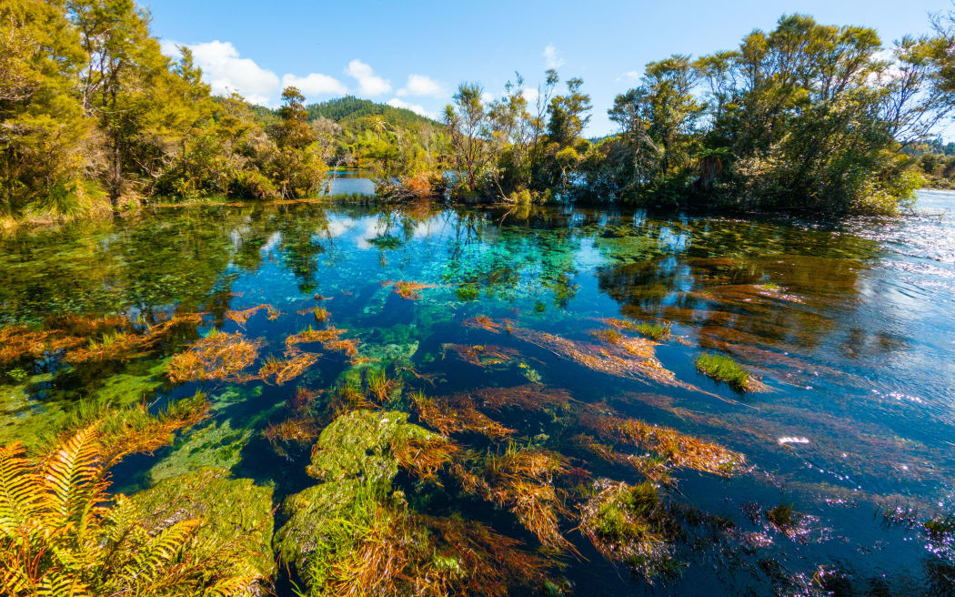 Campaigns have long held concerns about the environmental impacts that gold mining could have on the nearby Te Waikoropupū Springs.