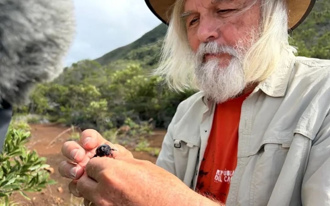 Aotearoa's world-class entomologist Trevor Jackson.