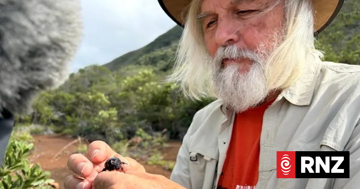 New Zealand entomologist leads mission against coconut rhinoceros beetle in New Caledonia