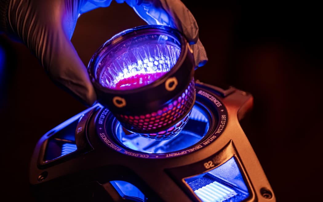 Colossal Biosciences is describing its artificial egg as a