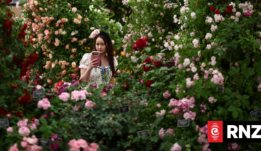 Love, lust and gnomes as top UK flower show bursts into bloom
