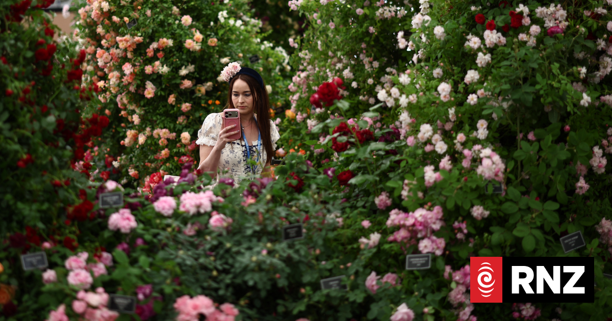 Love, lust and gnomes as top UK flower show bursts into bloom