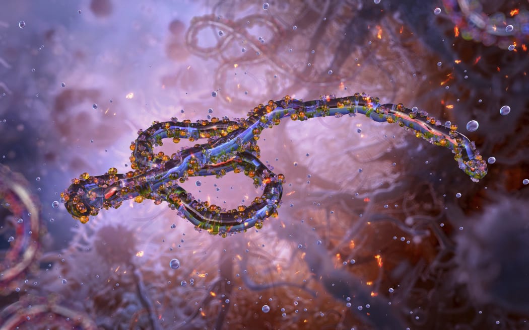 Ebola virus, illustration.