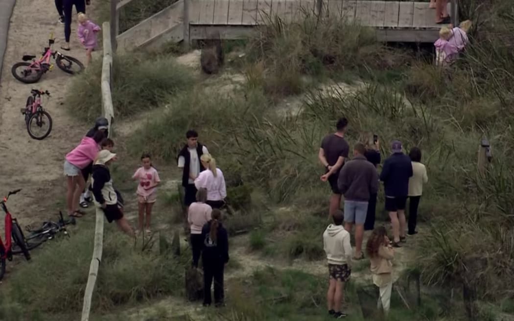 Bystanders gathered near Geordie Bay after a man in his thirties was attacked by a shark.