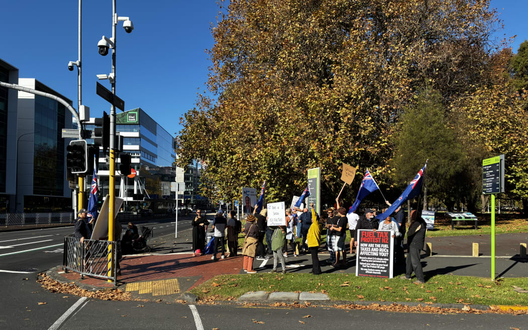 A handful of people have gathered at Auckland's Victoria Park as part of a nationwide protest against fuel taxes.