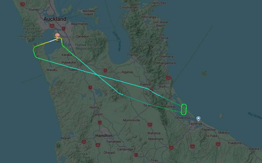 The Air New Zealand flight, NZ5145, departed at 8.42pm on Friday.