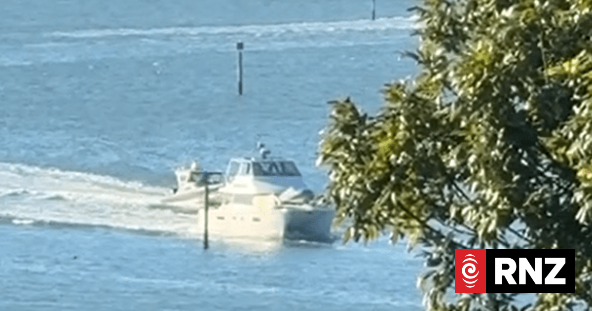 Kayaker dies after suffering medical event off Auckland's Hobsonville Marina