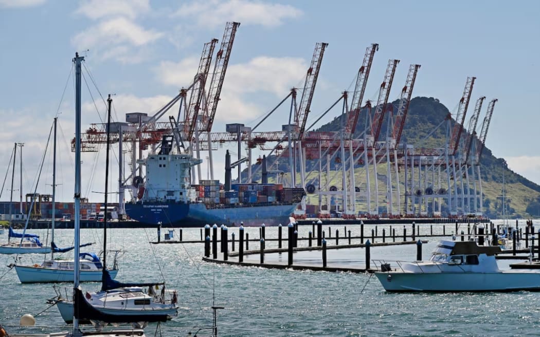 The expansion of Port Tauranga continues to hit legal snags.