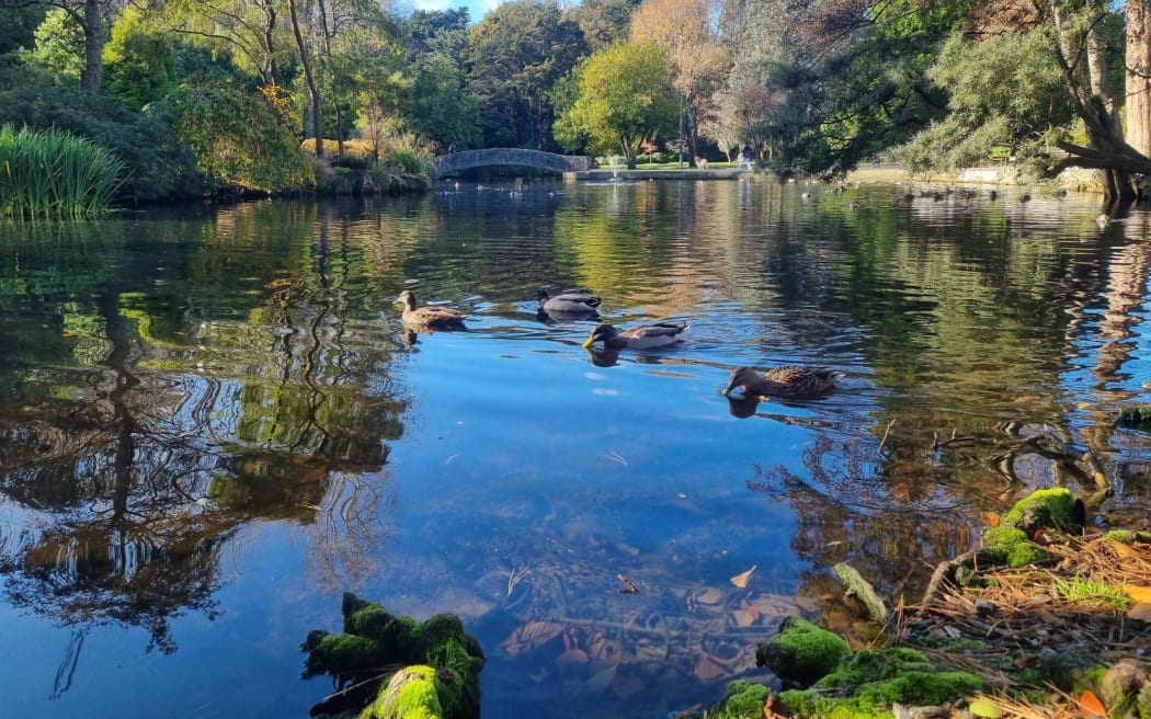 Queens Park in Invercargill.