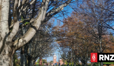 Invercargill mayor condemns 'bunch of thugs' involved in park attacks