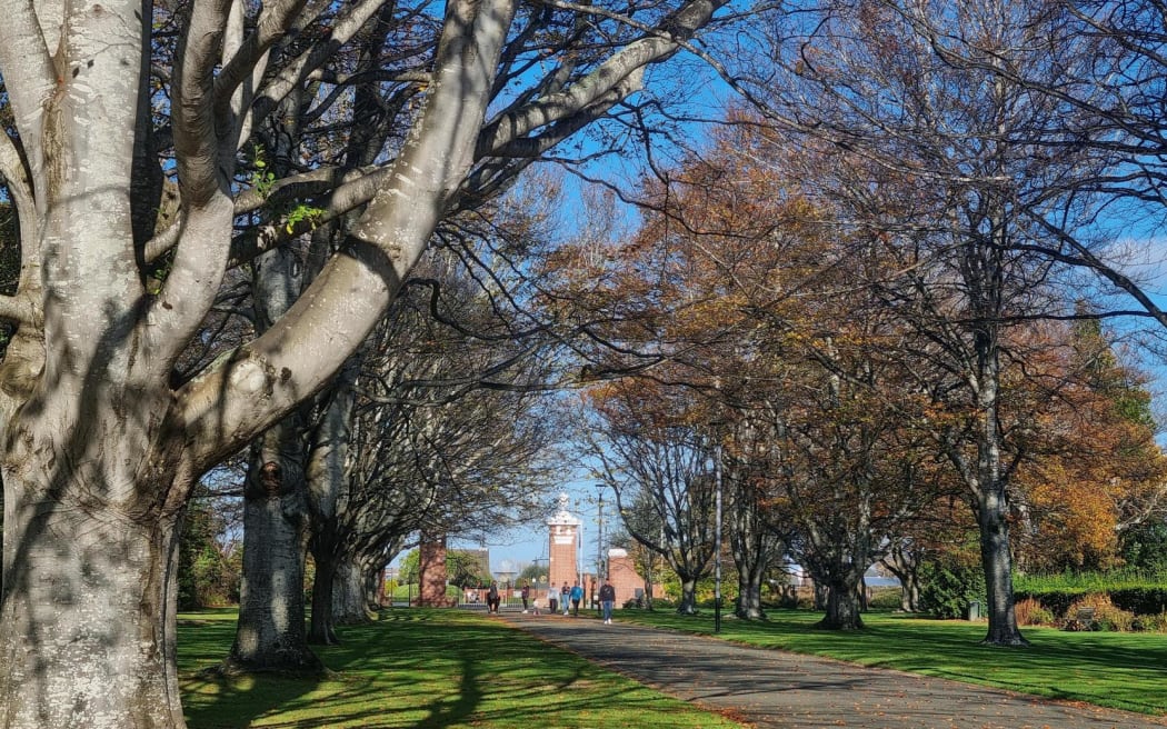 Queens Park in Invercargill.