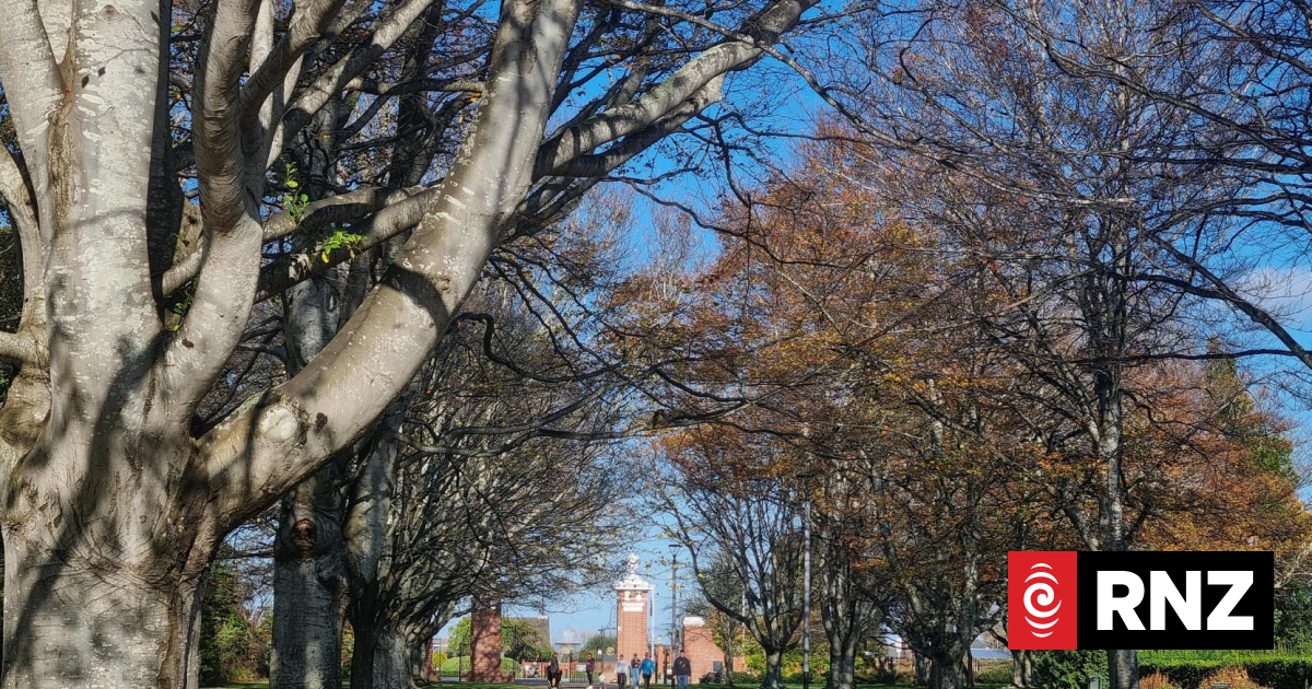 Invercargill mayor condemns 'bunch of thugs' involved in park attacks