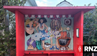Wellington council removes artists' bus stop murals