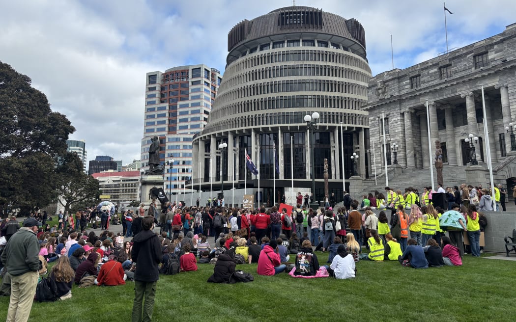 Hundreds of school students are gathered outside Parliament after marching through Wellington urging the government to take action against climate change.