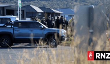 Illawarra grandmother blames horrific roadside stabbing on Ozempic