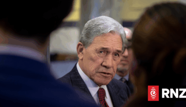 NZ First plan to buy BNZ back 'headline-grabbing' rather than serious policy - economist
