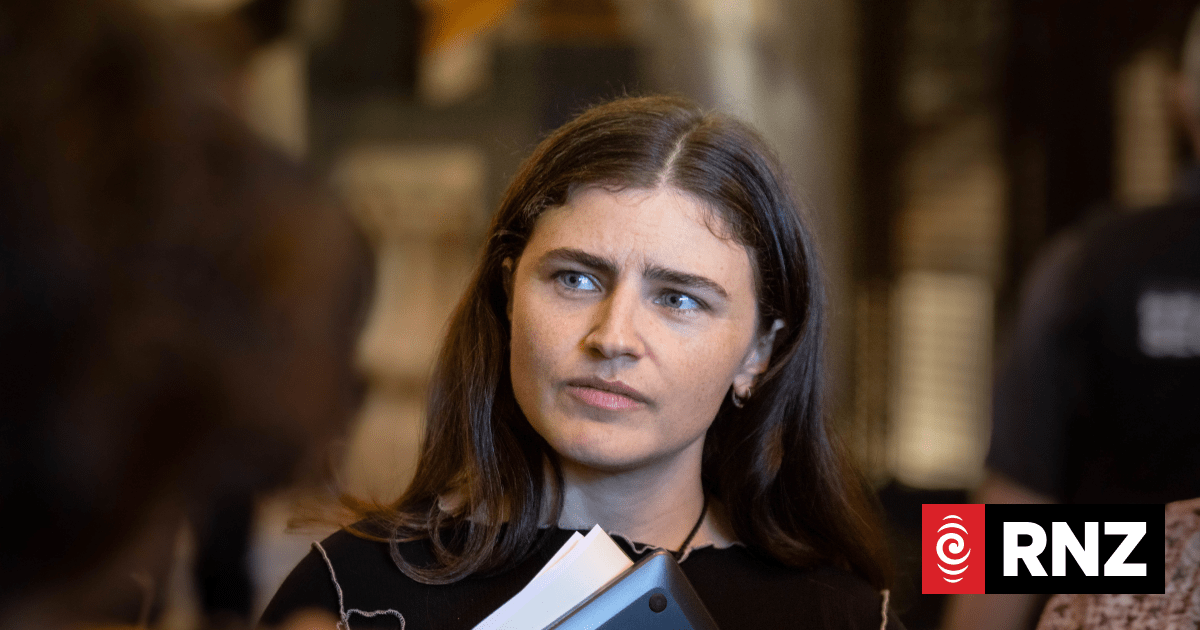 Nicola Willis rejects Chlöe Swarbrick's claim 'failed climate policies' created $1.4b hole